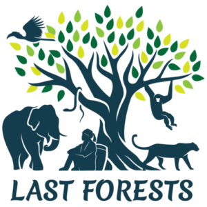 Last Forests